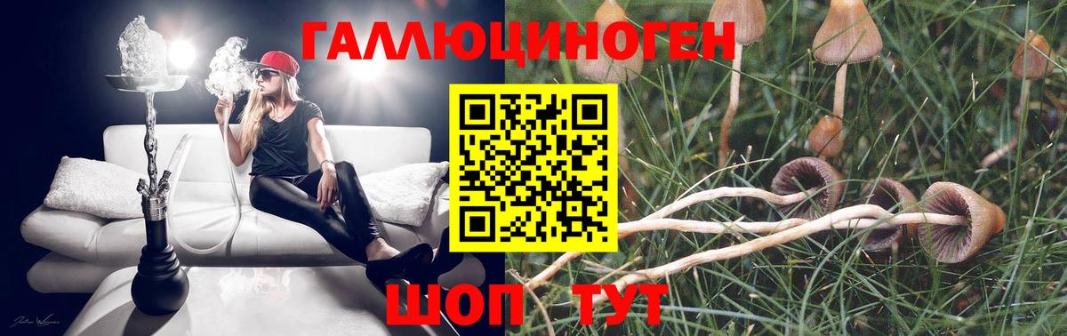 Галлюциногенные грибы мухоморы Рассказово